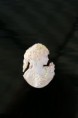 /album/galleria-foto-foglia-oro-su-cammeo-/camm-foto-009-jpg/